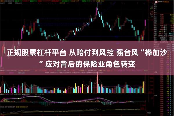 正规股票杠杆平台 从赔付到风控 强台风“桦加沙”应对背后的保险业角色转变